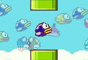 Sky Bird Challenge