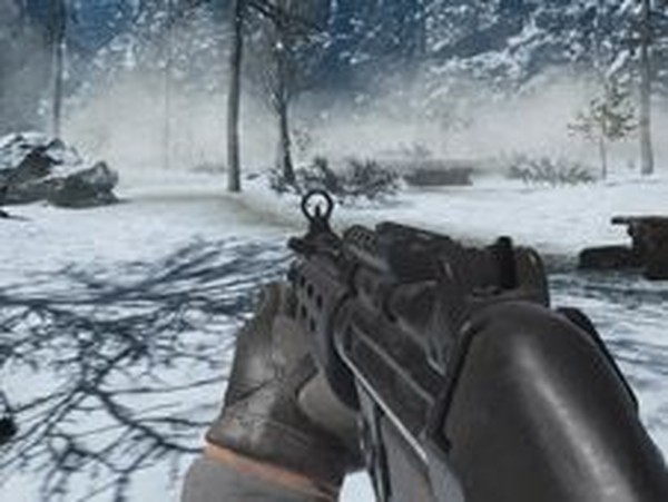 Safeguard Commander: Strategic Action