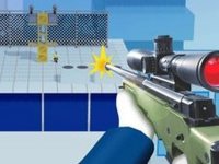 Accurate Shot 2: Range Practice