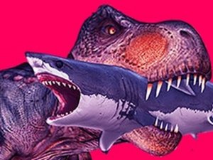 Miami Rex Adventure: Friendly Explorer