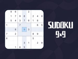 Number Placement Puzzle 9x9