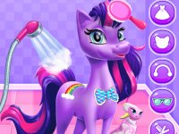 Magical Unicorn Grooming and Styling