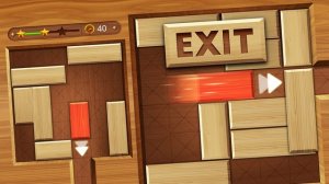 Wooden Sliding Block Puzzle