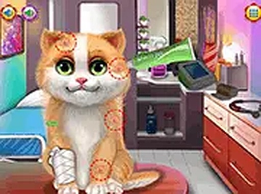 Gentle Kitten Wellness and Styling