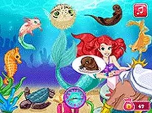Ocean Pet Store Adventure